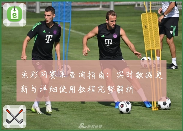 竞彩网赛果查询指南：实时数据更新与详细使用教程完整解析